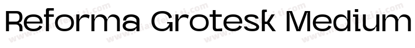 Reforma Grotesk Medium W08 Rg字体转换